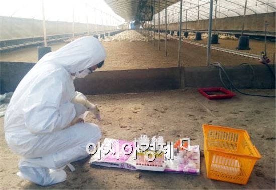 중국산 오리햄에서 AI 유전자 검출…반복되는 ‘중국발 식품 리스크’, 한국은 어디까지 대비돼 있는가