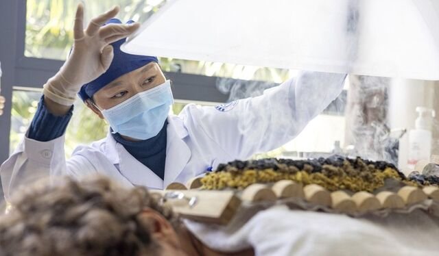 최근 한국 정부가 외국인 대상 미용성형 세금 환급 제도를 종료하겠다고 밝힌 가운데, 중국 하이난성이 이를 기회로 삼아 본격적인 의료관광객 유치에 나섰다.