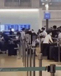 "카운터로 돌진"…인천공항서 중국인 '집단 새치기' 난동