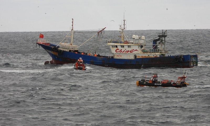 53_17664834900262_20251223503604