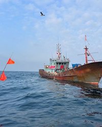 반복되는 중국 어선 불법 조업, 한국 해양 주권을 시험하는 조용한 압박