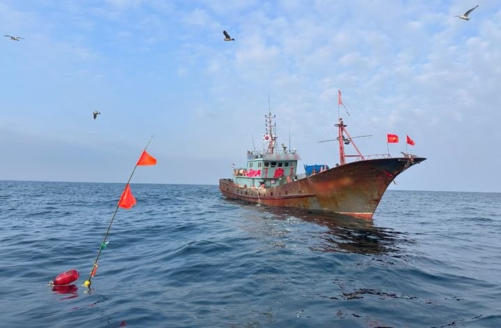 반복되는 중국 어선 불법 조업, 한국 해양 주권을 시험하는 조용한 압박