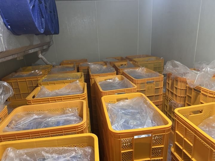 중국산 재첩의 ‘국내산 둔갑’ 사건이 던진 경고…먹거리 신뢰를 흔드는 구조적 위협