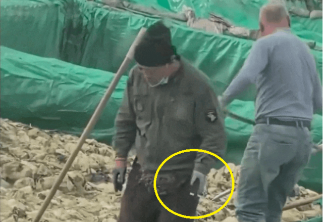 중국 절임채소 공장 위생 논란, 한국 소비자도 위험하다 — "침 뱉고 담배 피우는 공장, 그 식탁이 안전할까"